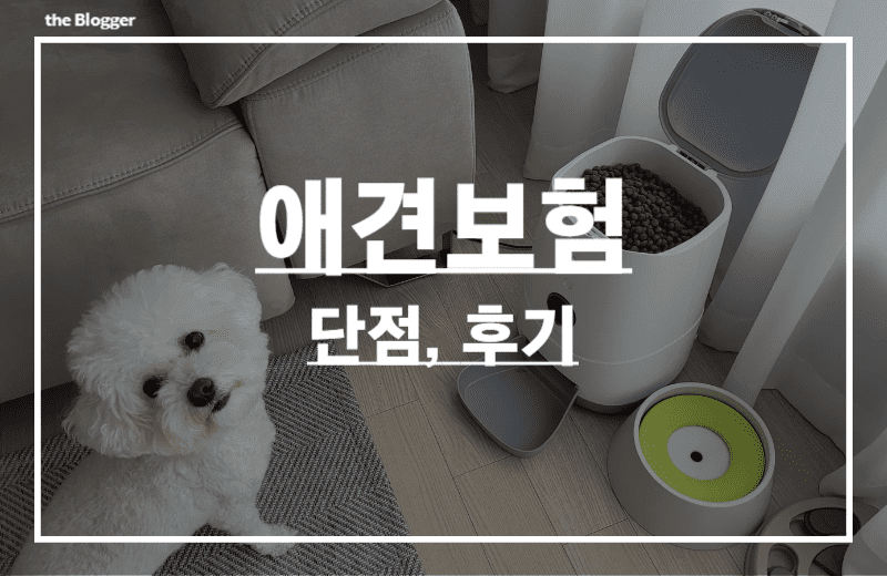 애견보험-단점-이유-삼성화재-펫보험-썸네일