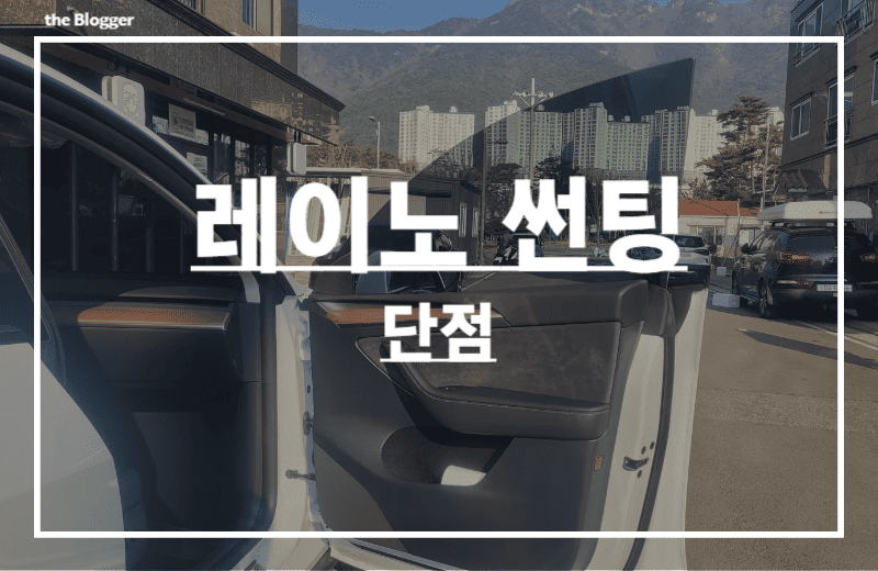 레이노-썬팅-단점-후기-썸네일