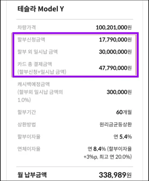 삼성카드-테슬라-할부-신청-금액